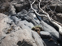 rra delle Concazze-201100508 018